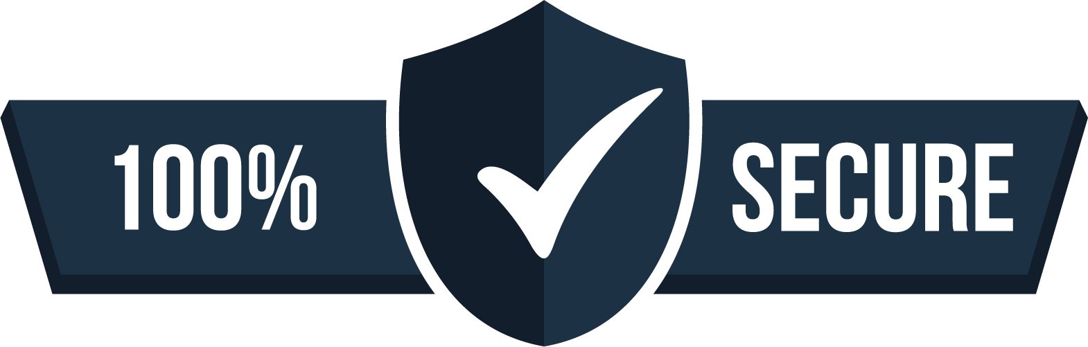 100% Secure